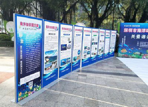 师宗KT板的种类和知识。